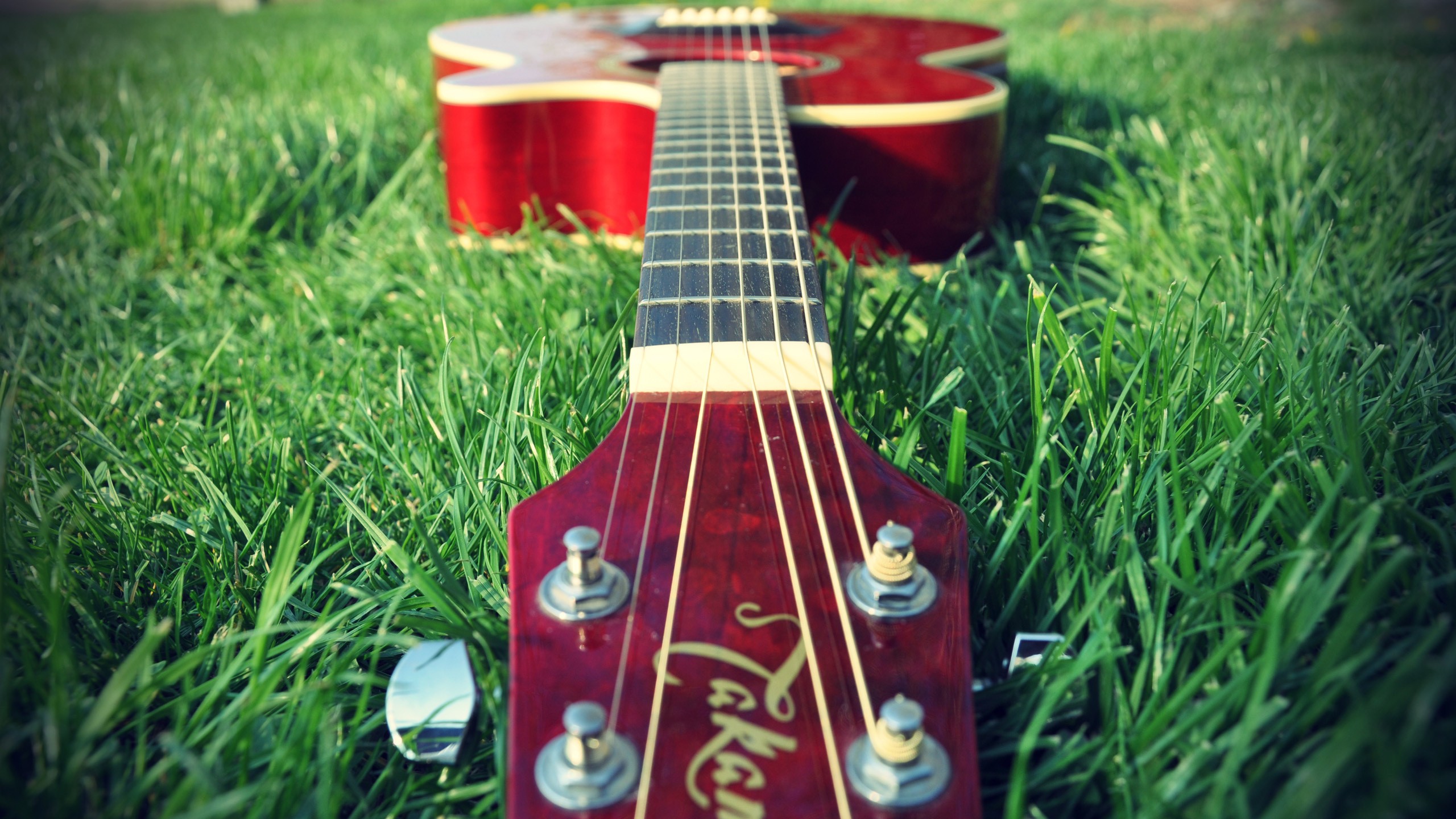 music, Grass, Guitars Wallpaper