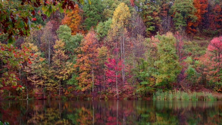 water, Landscapes, Nature, Trees, Autumn, Forests, Plants, Lakes, Colors HD Wallpaper Desktop Background