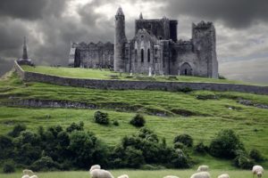 nature, Castles, Sheep, Medieval
