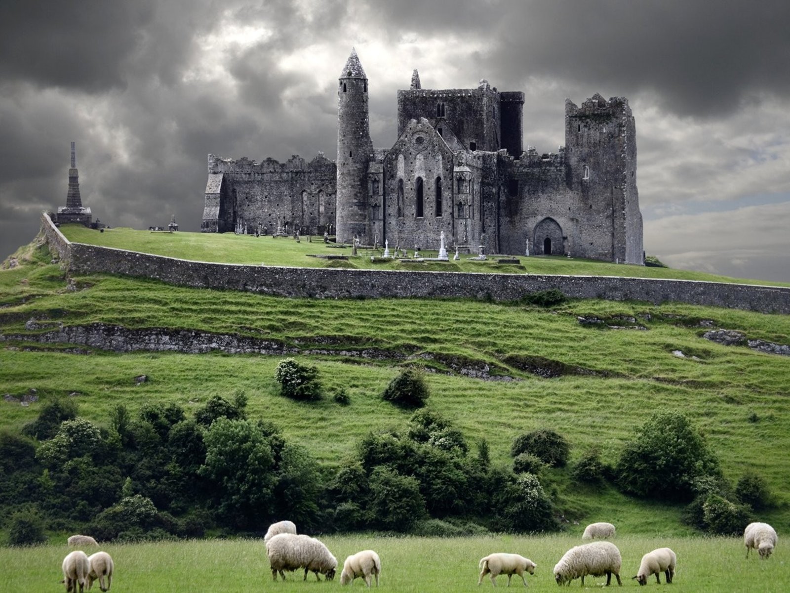 nature, Castles, Sheep, Medieval Wallpaper
