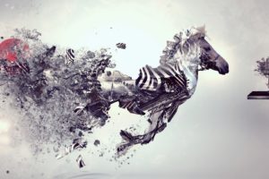 digital, Zebras, Digital, Art, Artwork, Zebra, Stripes