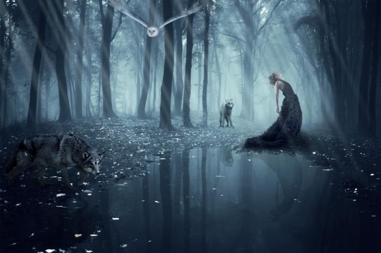 isadora, Vilarim, Girl, Wolf, Owl, Forest, Wolves, Gothic, Goth, Loli, Mood HD Wallpaper Desktop Background