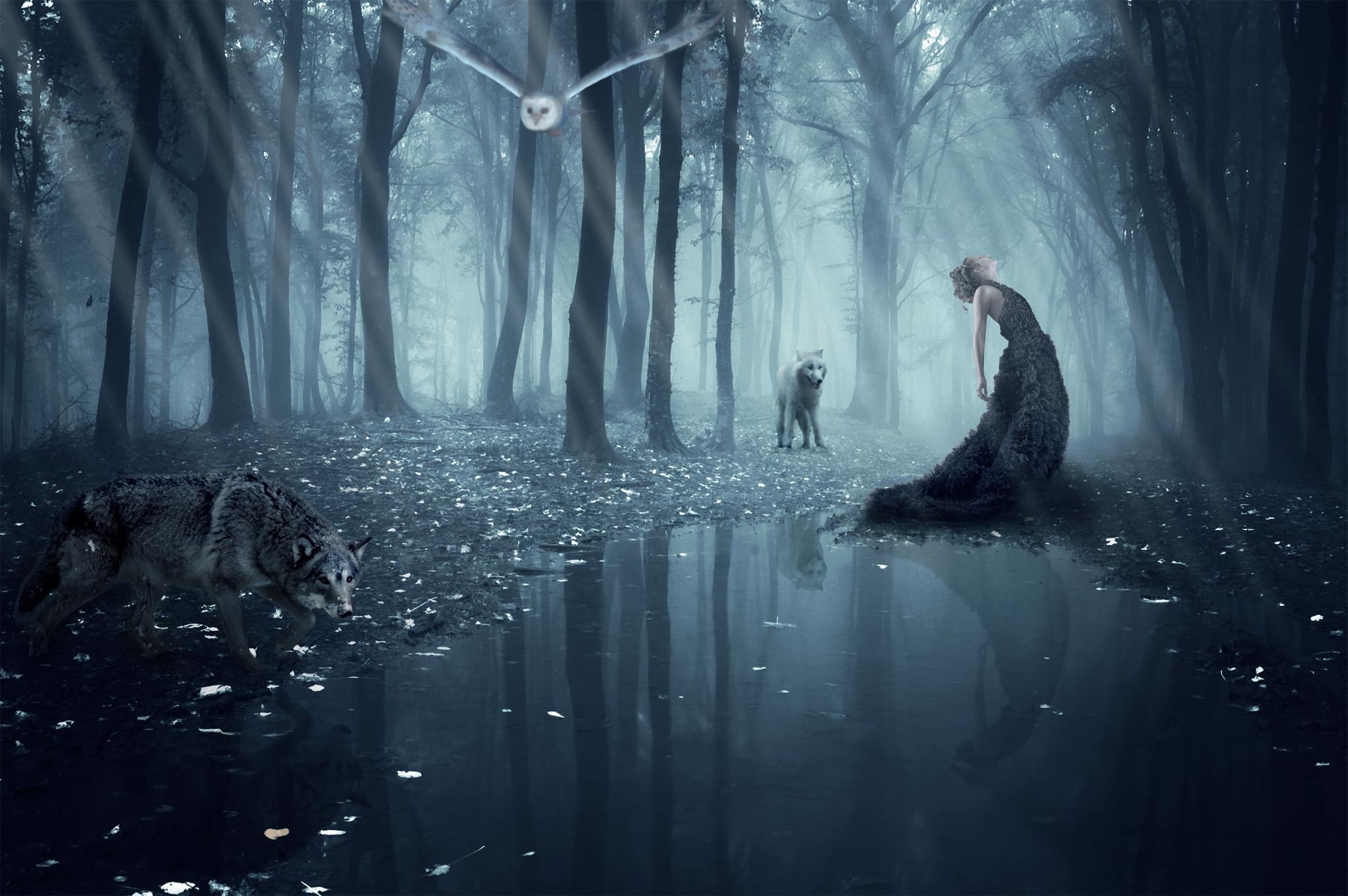 isadora, Vilarim, Girl, Wolf, Owl, Forest, Wolves, Gothic, Goth, Loli, Mood Wallpaper