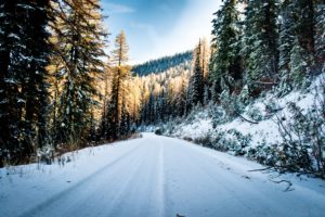 winter, Road, Trees, Landscape