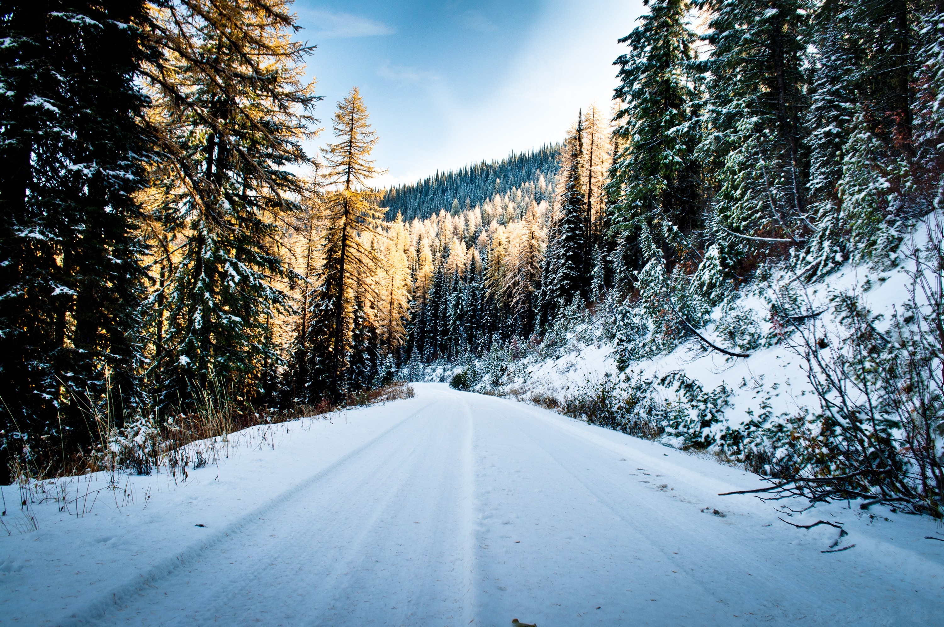 winter, Road, Trees, Landscape Wallpaper