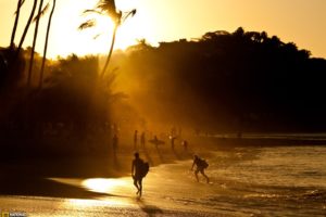 sunset, Silhouettes, Mexico, National, Geographic, Sunlight, Palm, Trees, Surfers, Beaches