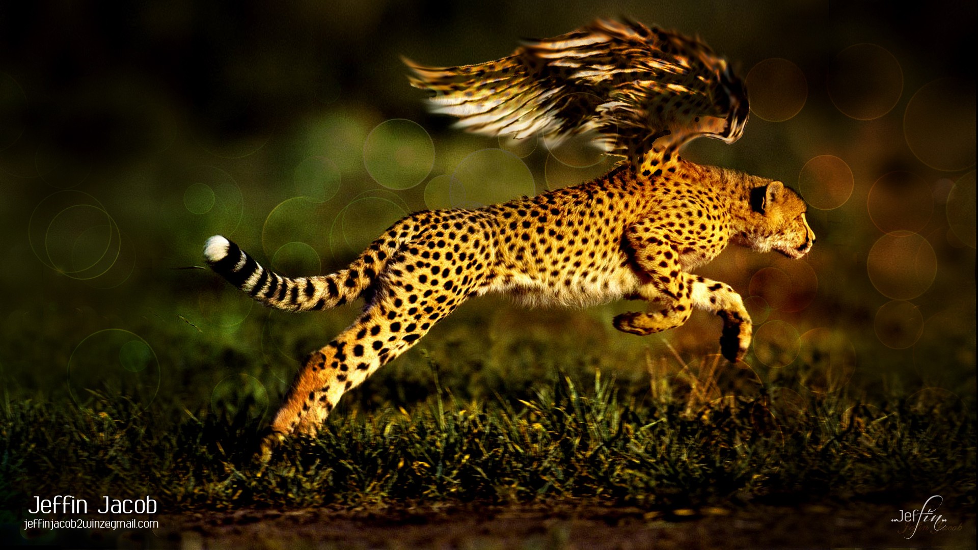 wings, Animals, Jaguar, Fantasy, Art, Digital, Art, Artwork, Wild, Animals Wallpaper