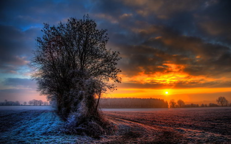 winter, Sunset HD Wallpaper Desktop Background