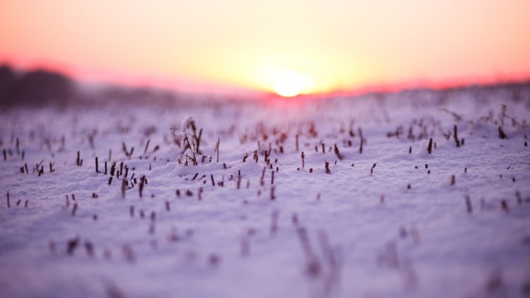 sunset, Landscapes, Nature, Winter,  season , Snow, Macro, Depth, Of, Field HD Wallpaper Desktop Background