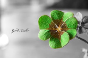 flowers, Text, Typography, Shamrock, Luck, Macro, Selective, Coloring, Four, Leaf, Clover, Clovers