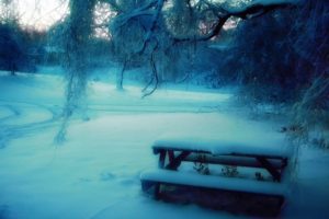 nature, Winter, Snow, Frozen, Bench, Rivers