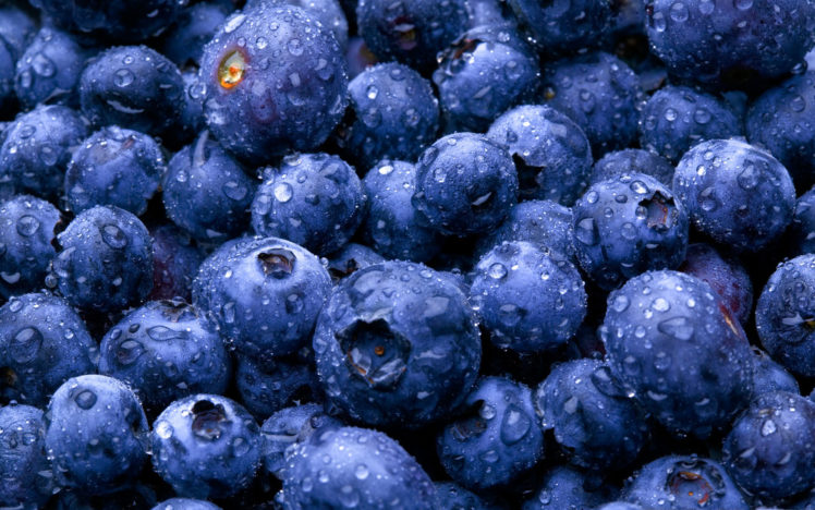fruits, Blueberries HD Wallpaper Desktop Background
