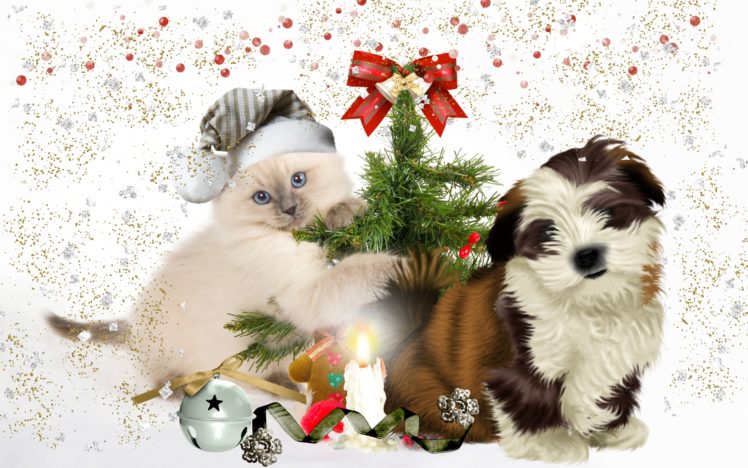 dog, Puppy, Kitten, Tree HD Wallpaper Desktop Background