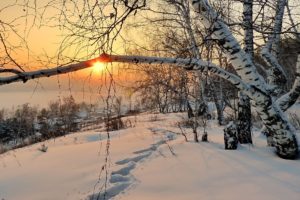 landscape, Nature, Winter, Morning, Dawn, Snow, Footprints