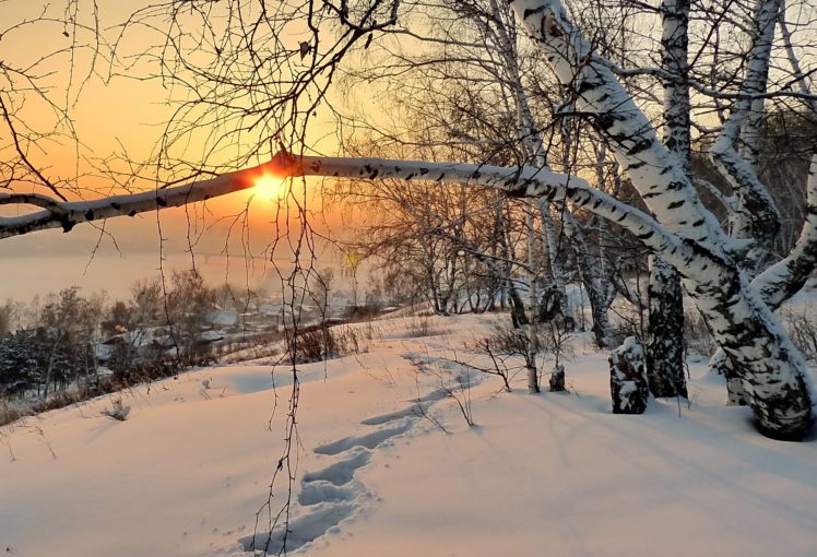 landscape, Nature, Winter, Morning, Dawn, Snow, Footprints HD Wallpaper Desktop Background