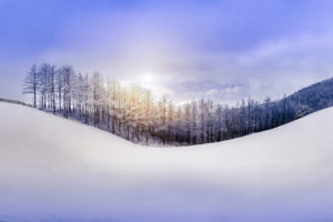 nature, Sky, Forest, Snow, Hill, Winter