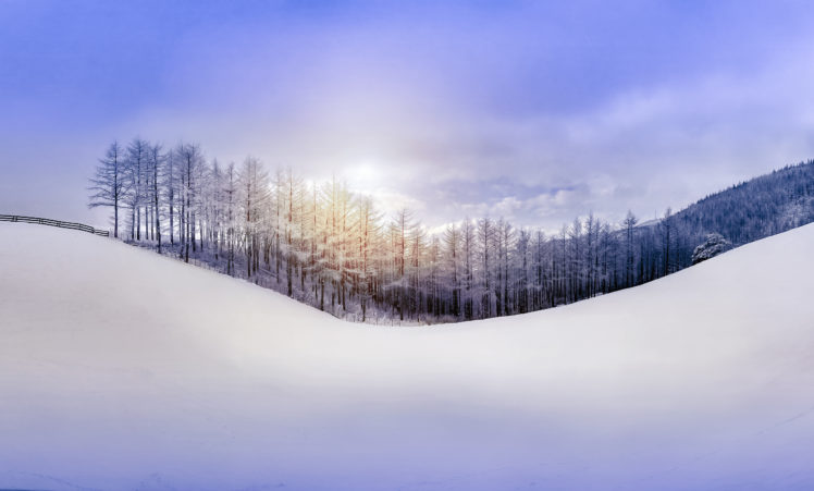 nature, Sky, Forest, Snow, Hill, Winter HD Wallpaper Desktop Background