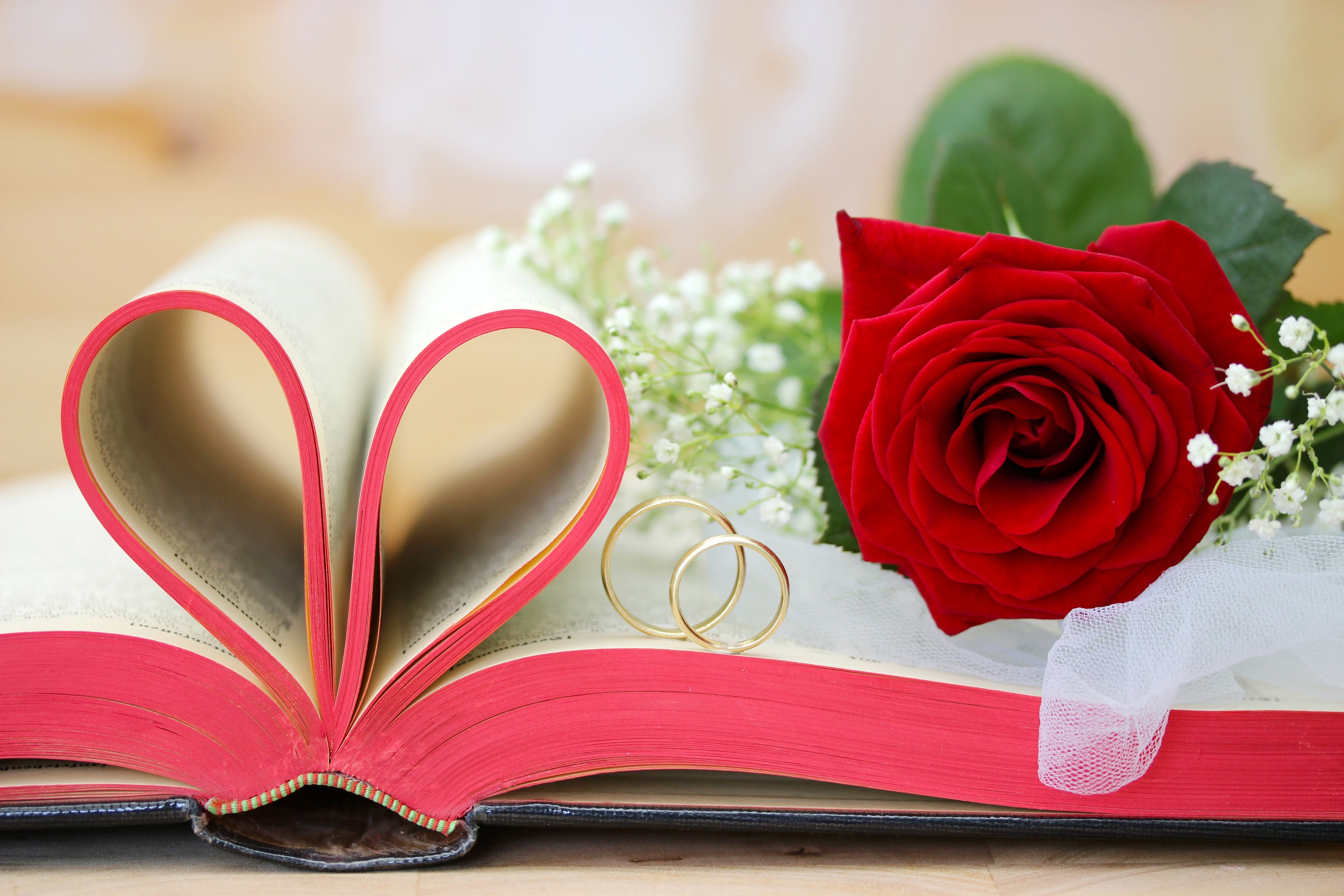 rose, Book, Ring Wallpaper