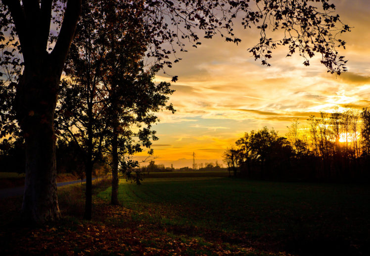 sunset, Field, Trees, Evening, Autumn HD Wallpaper Desktop Background