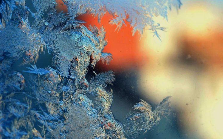 winter, Frost, Patterns, Glass HD Wallpaper Desktop Background