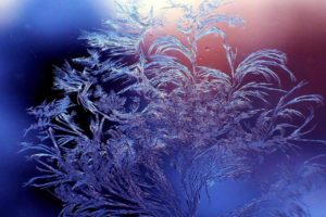 winter, Frost, Patterns, Glass