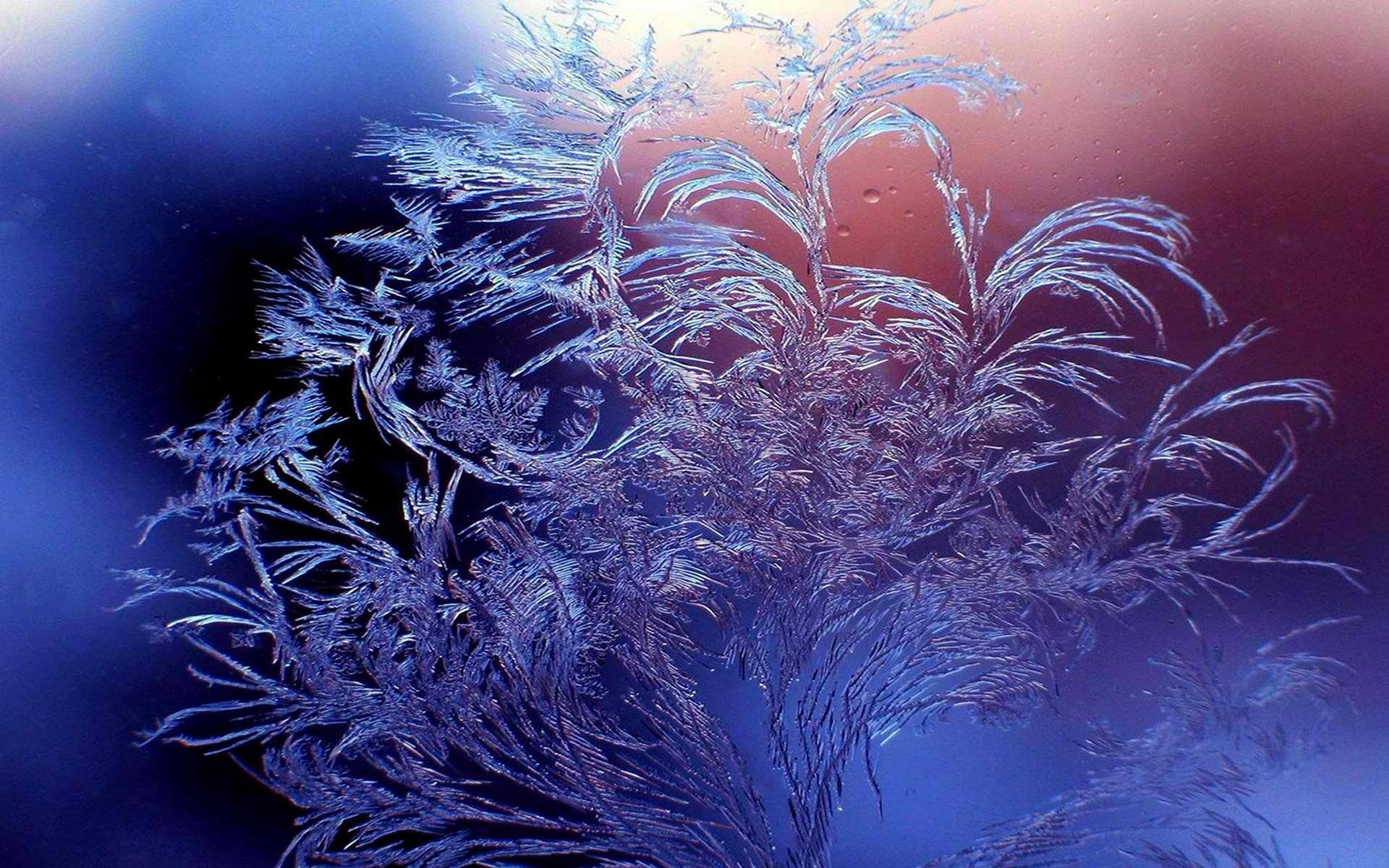 winter, Frost, Patterns, Glass Wallpaper