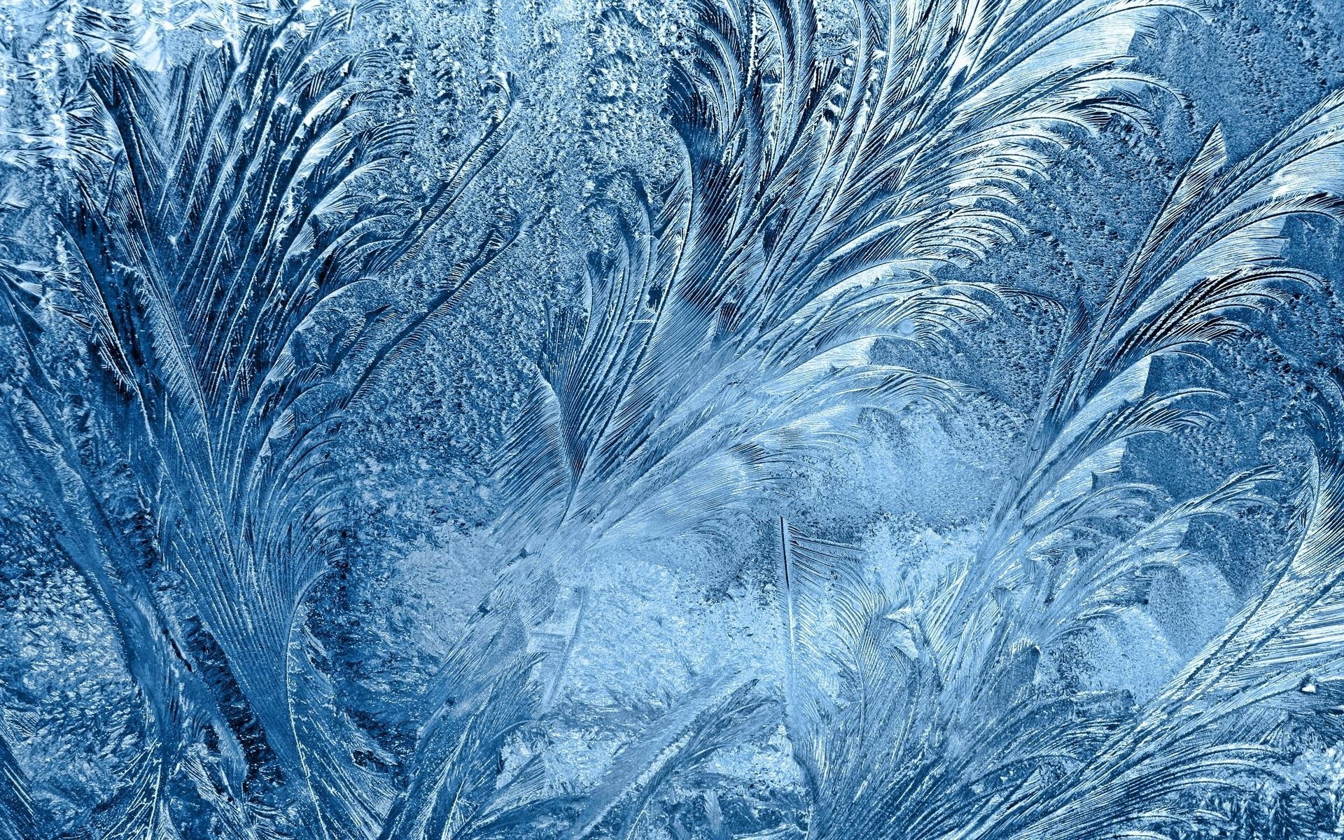 winter, Patterns, Snow, Frost, Frost, Macro Wallpaper