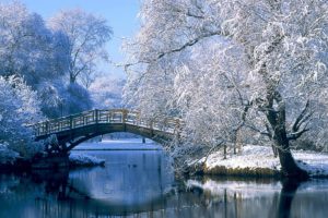 landscapes, Nature, Winter, Snow, Bridges