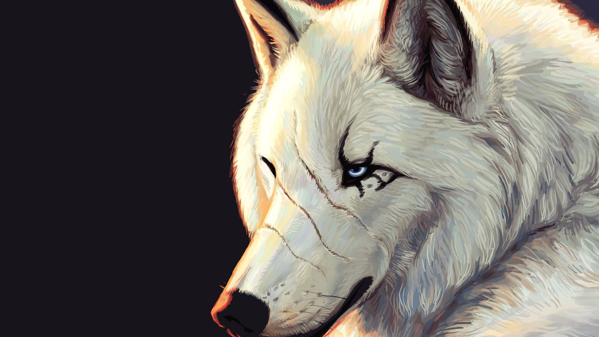 animals, Artwork, Wolves Wallpaper