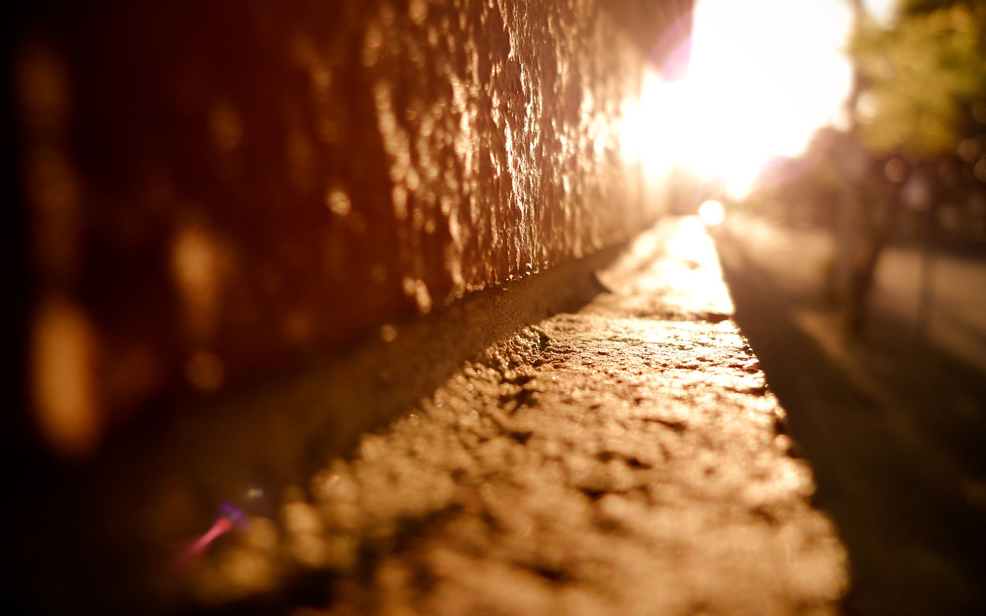 shift, Macro Wallpaper