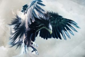 abstract, Birds, Eagles, Animated, Drawings