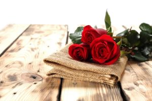 roses, Buds, Tissue, Board