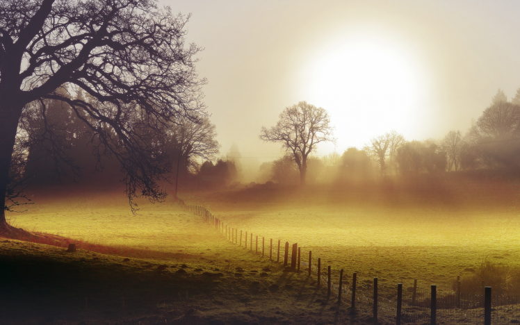 field, Morning, Fog, Fence, Landscape, Autumn HD Wallpaper Desktop Background