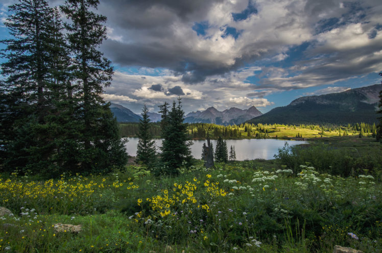 lake, Mountains, Trees, Field, Flowers, Landscape HD Wallpaper Desktop Background