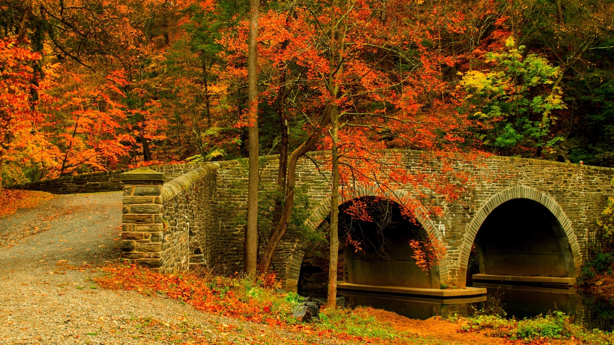 nature, Road, Leaves, Trees, Forest, Park, Bridge, Colorful, Path, Autumn Wallpaper