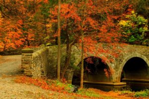 nature, Road, Leaves, Trees, Forest, Park, Bridge, Colorful, Path, Autumn