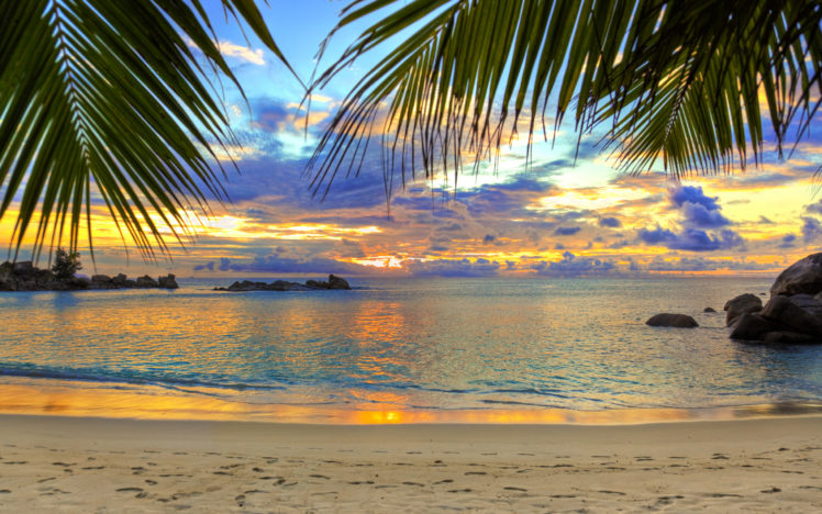 sand, Beach, Sea, Stones, Footprints, Palm HD Wallpaper Desktop Background
