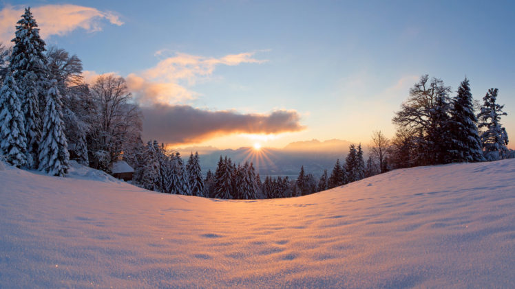winter, Snow, Light, Trees, Sun, Forest HD Wallpaper Desktop Background