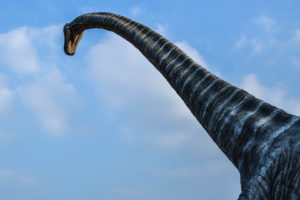 brachiosaurus, Dinosaur