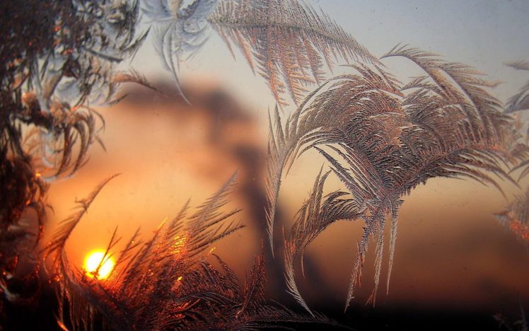 winter, Patterns, Glass, Morning, Sun, Frost HD Wallpaper Desktop Background