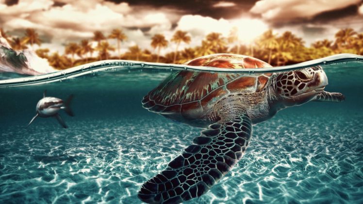 animals, Turtles, Sharks, Artwork, Split view HD Wallpaper Desktop Background