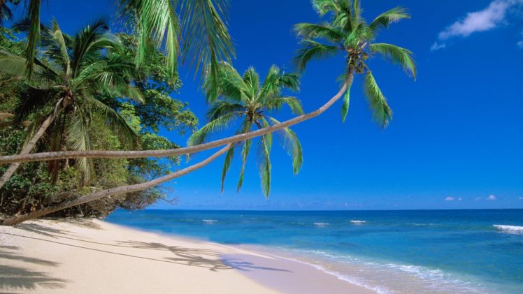 nature, Fiji, Beaches HD Wallpaper Desktop Background
