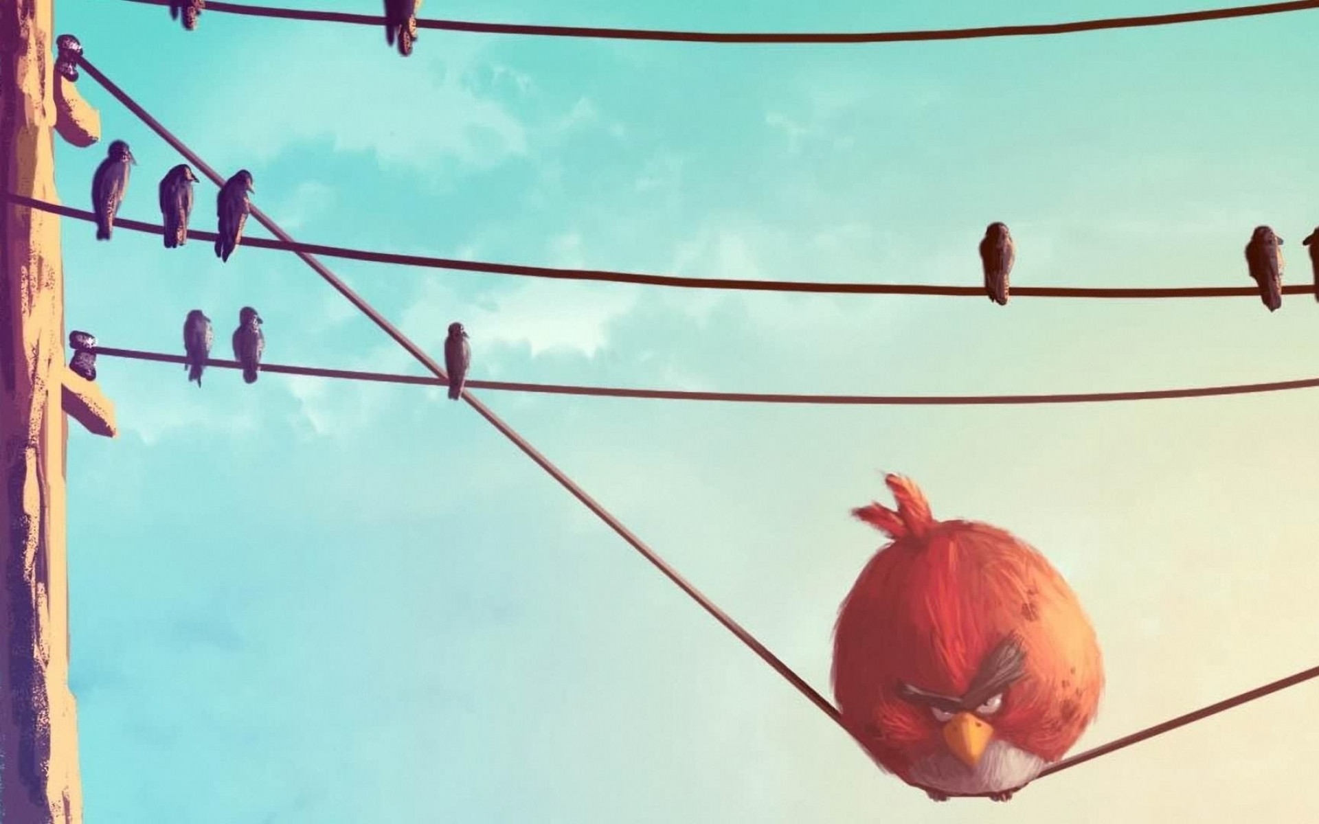 paintings, Video, Games, Birds, Funny, Artwork, Drawings, Angry, Birds, Wire Wallpaper