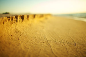 macro, Of, The, Sands, Of, The, Beach