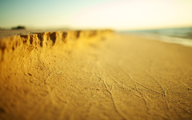 macro, Of, The, Sands, Of, The, Beach HD Wallpaper Desktop Background