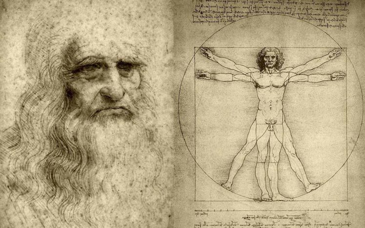 vitruvian, Man, Artwork, Leonardo, Da, Vinci HD Wallpaper Desktop Background