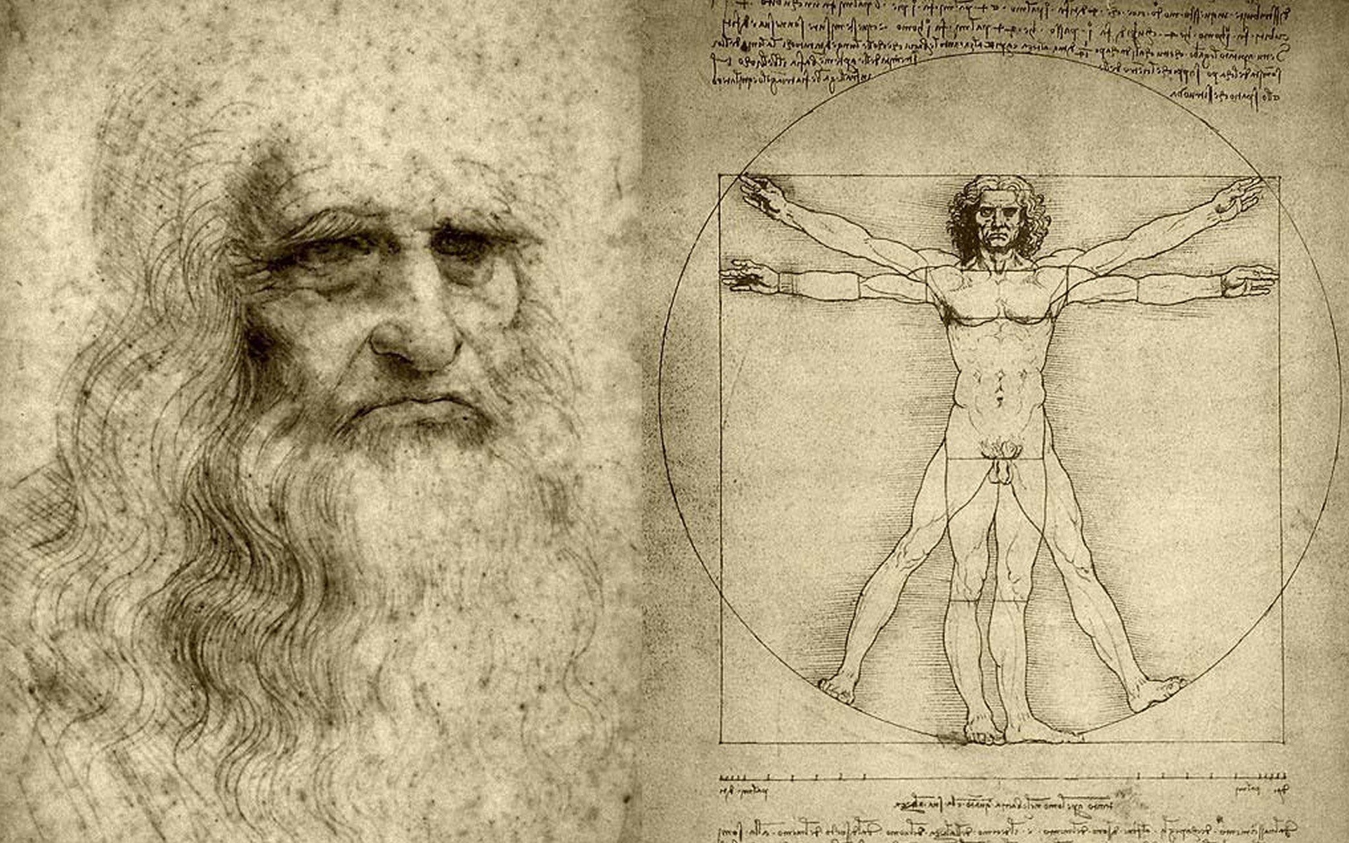 vitruvian, Man, Artwork, Leonardo, Da, Vinci Wallpaper
