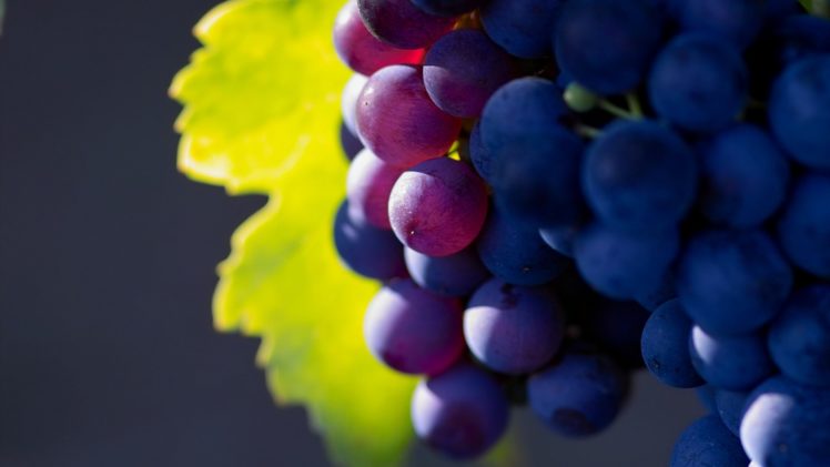 nature, Fruits, Grapes, Macro, Depth, Of, Field HD Wallpaper Desktop Background