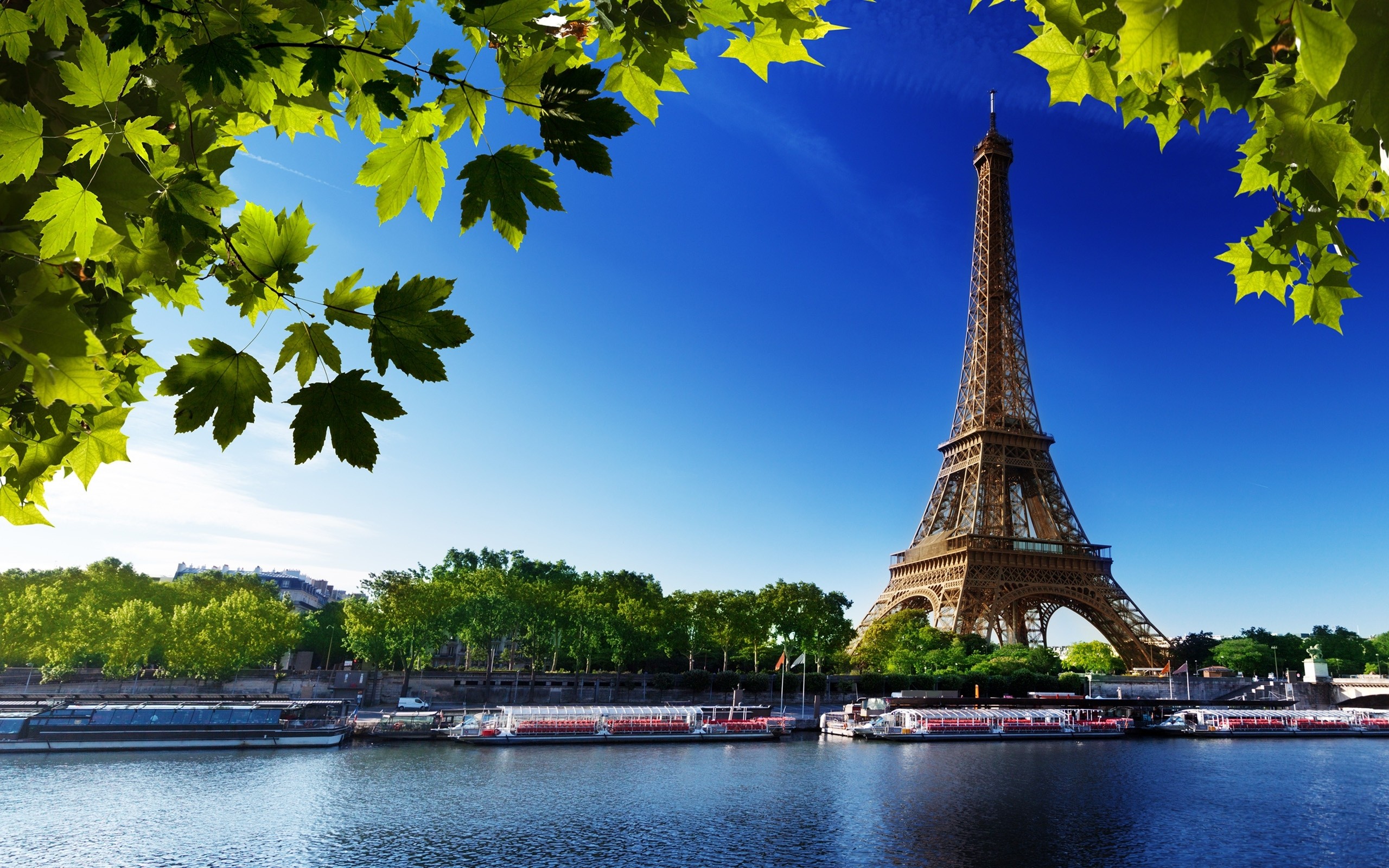 eiffel, Tower, Paris, Beach, Trees, France Wallpaper