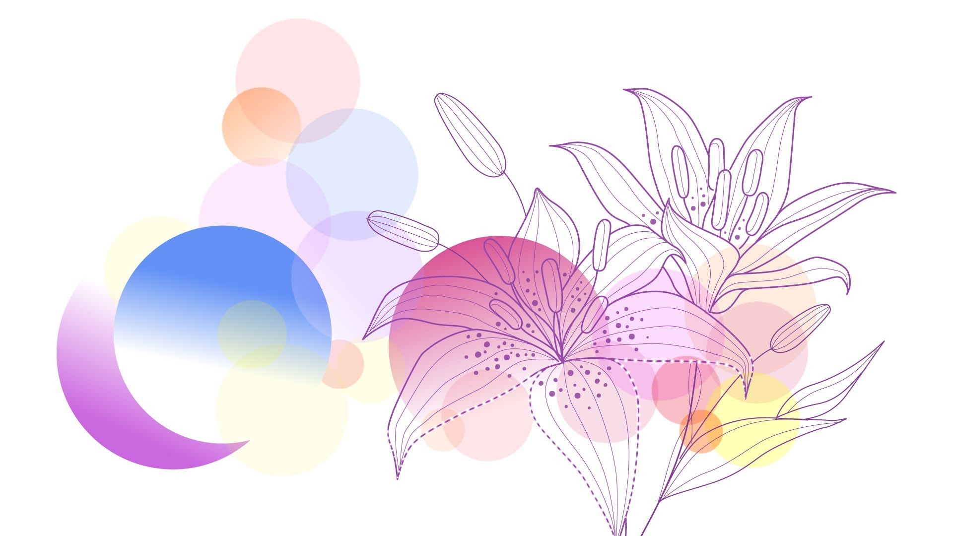 white, Drawings Wallpaper